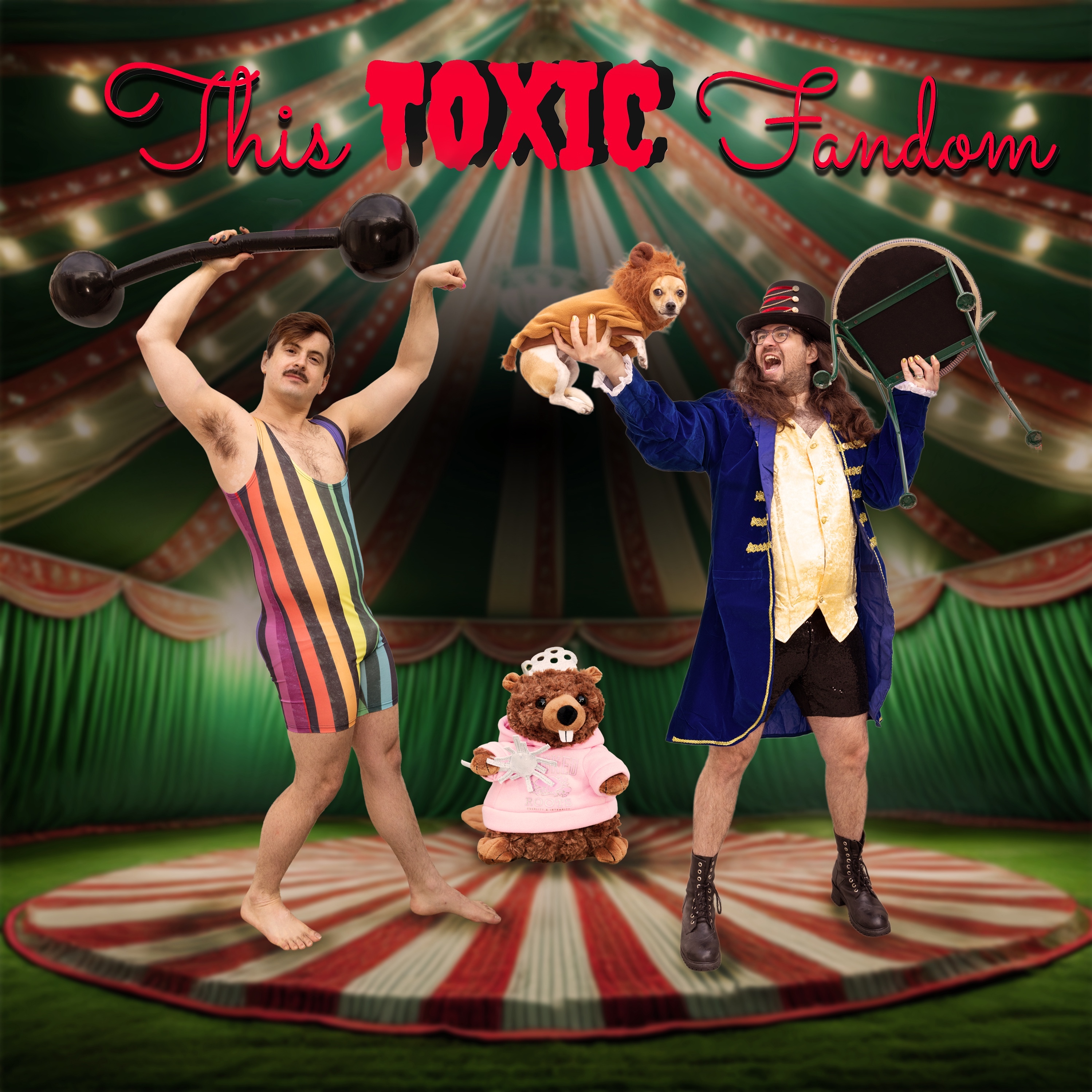 This Toxic Fandom