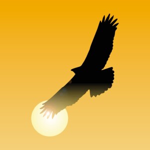 The Story of the Eagle Who Touches the Sun