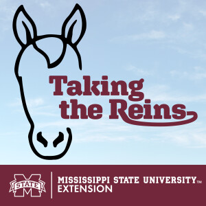Introducing Taking the Reins