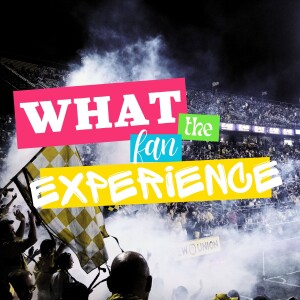 What the fan experience