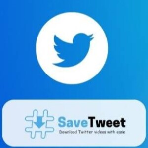 How to download Twitter video Using SaveTweet?