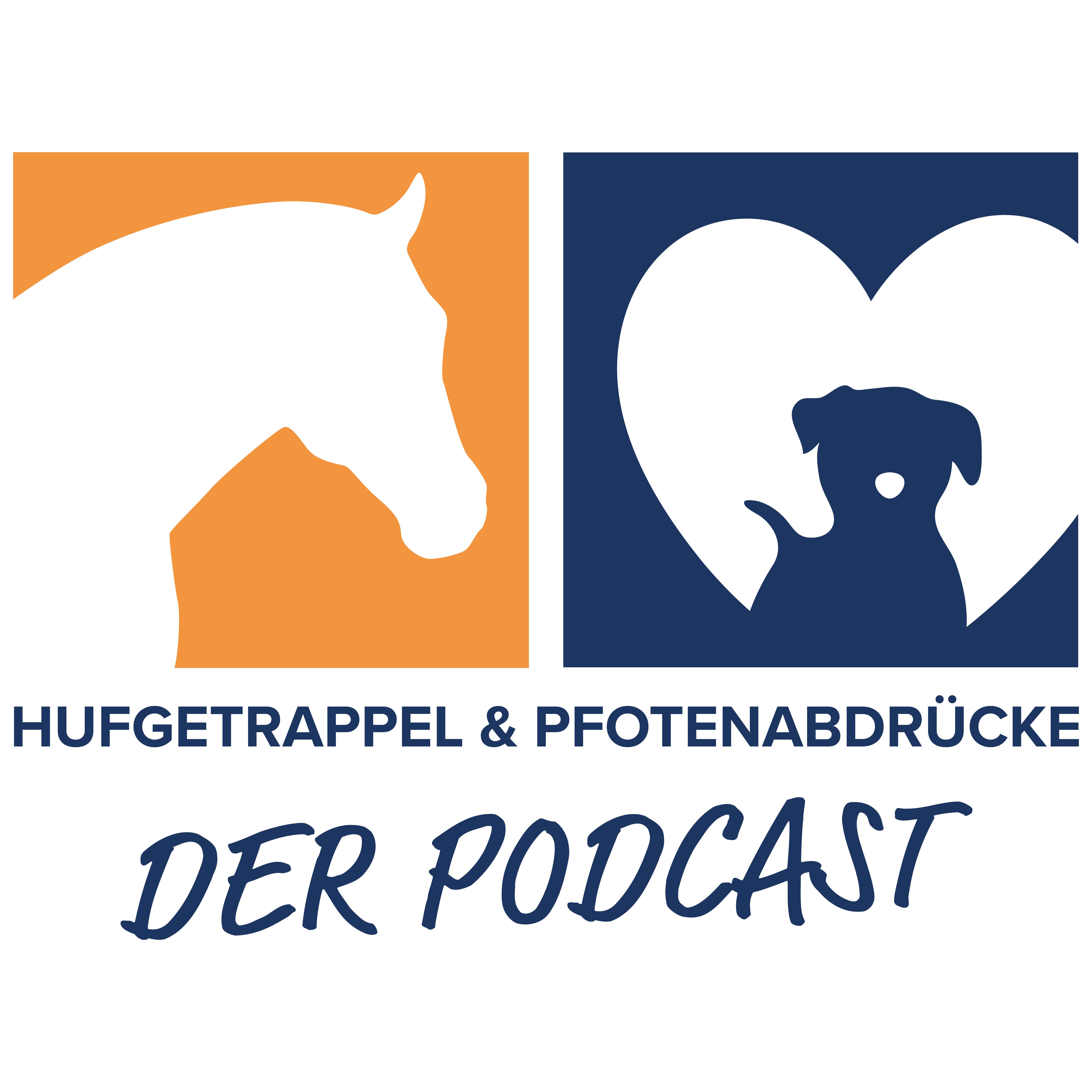 Hufgetrappel & Pfotenabdrücke