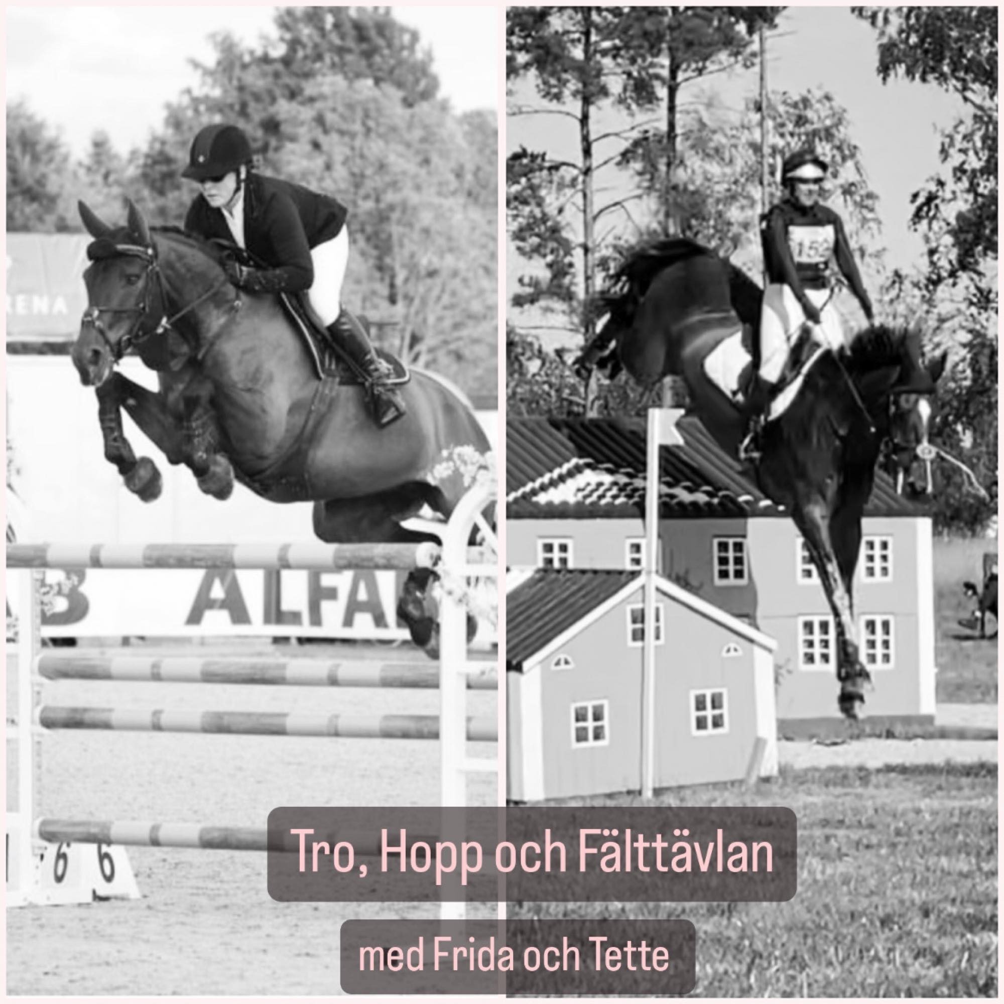 Tro, Hopp och Fälttävlan