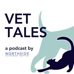 The Dreaded Parvo Virus. Prevention, Diagnosis and Treatment. | Vet Tales Episode