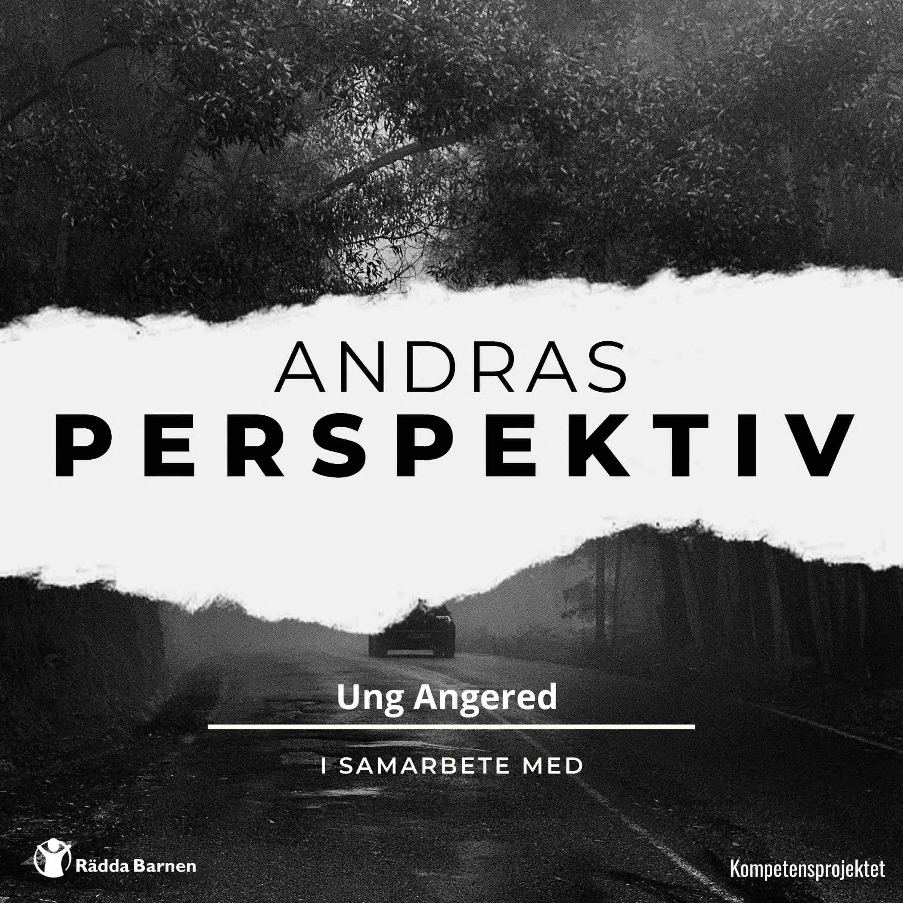 Andras perspektiv