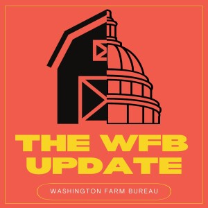 WFB Presents to Senate Committee
