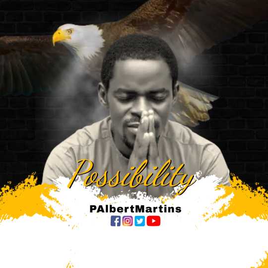 PAlbertmartins