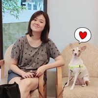 Licia Zhuo