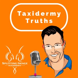 Taxidermy Truths | Episode 5 | Shooting the breeze with Simon Les Gras