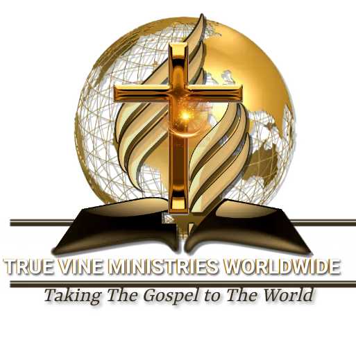 The True Vine Ministry Int’l