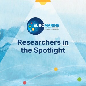Researchers in the Spotlight