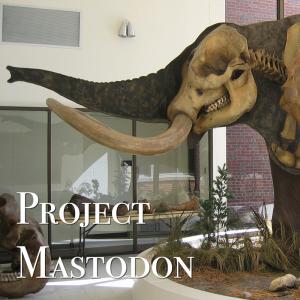 projectmastodon