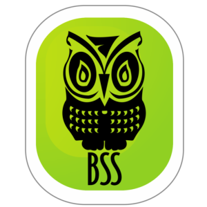 Bites of BSS #4 Sleep problems and gambling disorder: Findings in non-treatment seeking young adults.