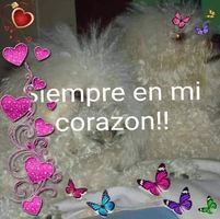 Anahi Viviana Sobale