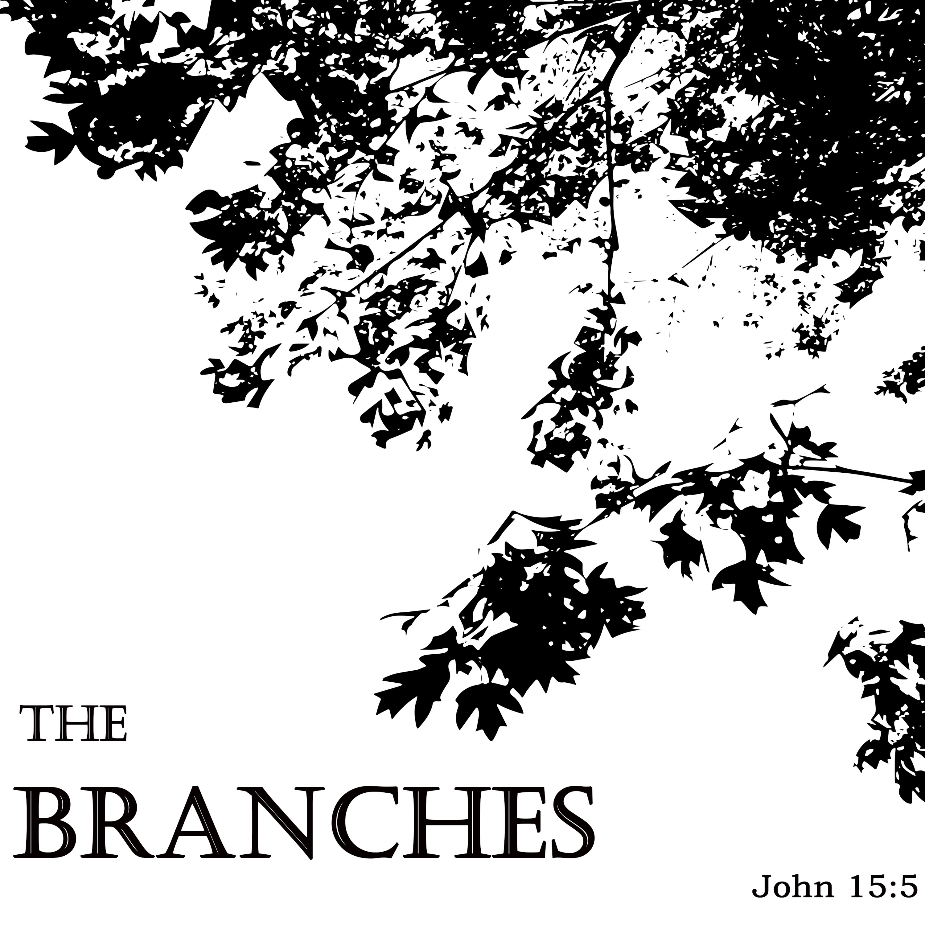 The Branches