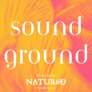 Sound Ground