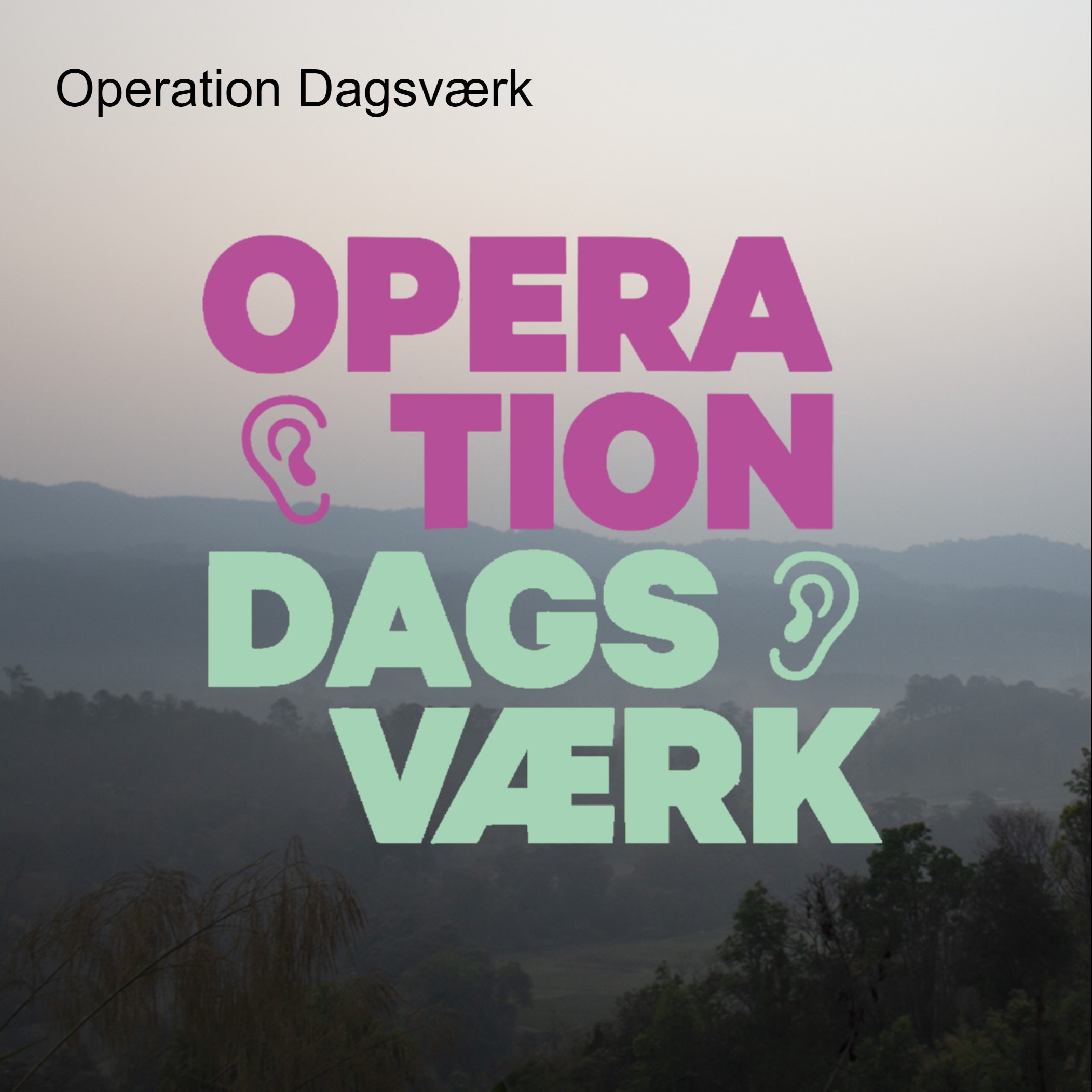 Operation Dagsværk