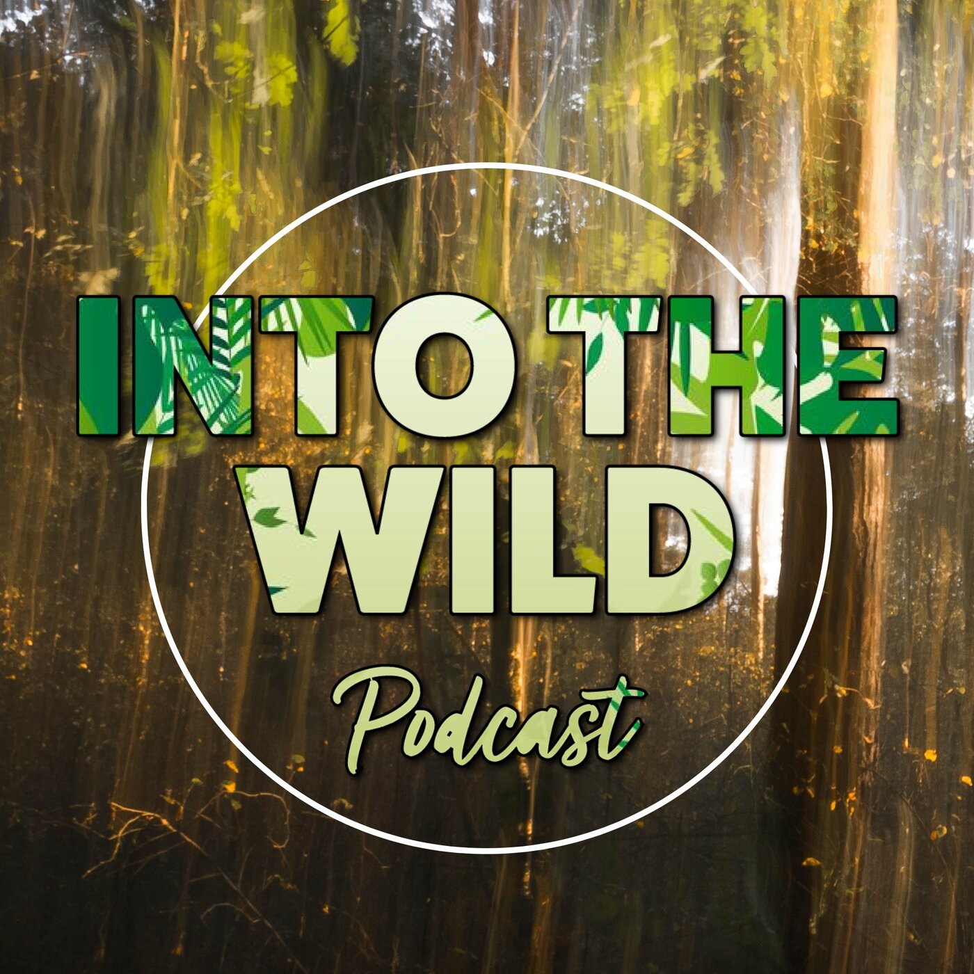 Bonus Episode: The Starling: A Biography with Stephen Moss | Into The Wild