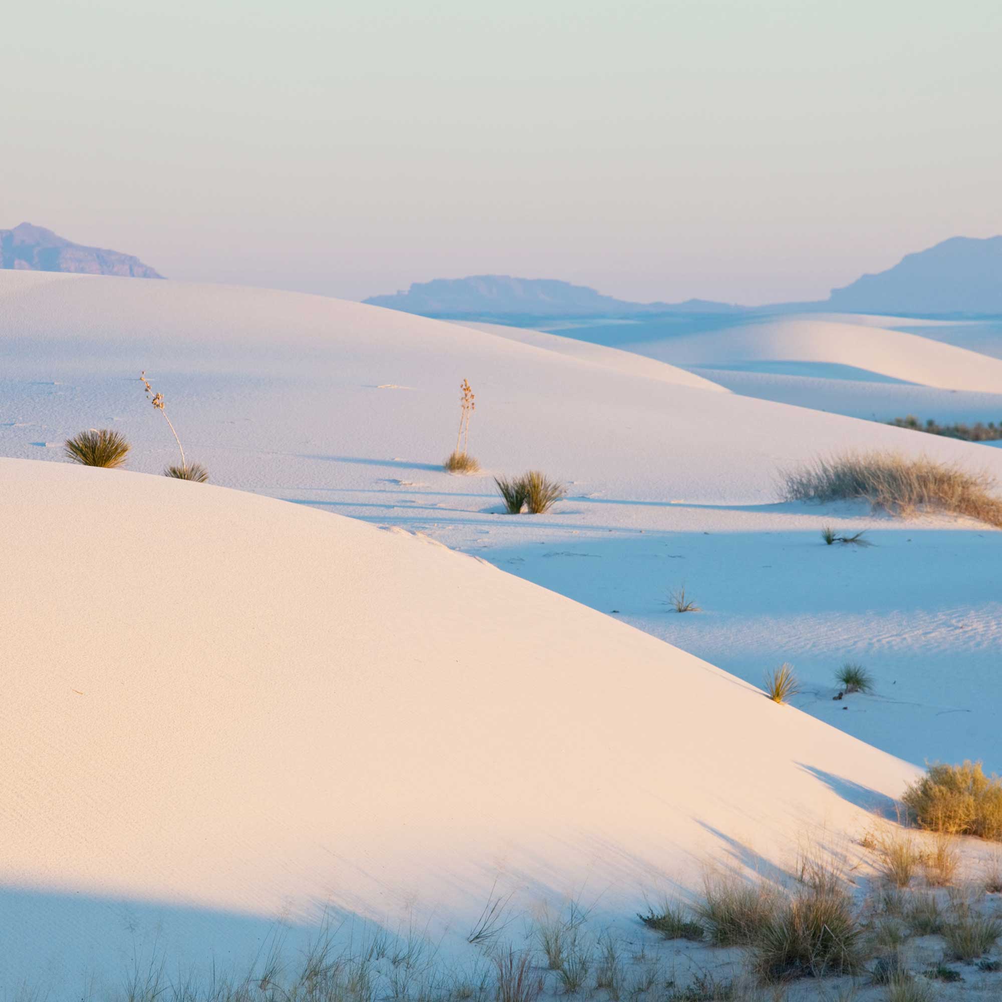 mburuperis08@gmailcom