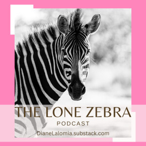 The Lone Zebra