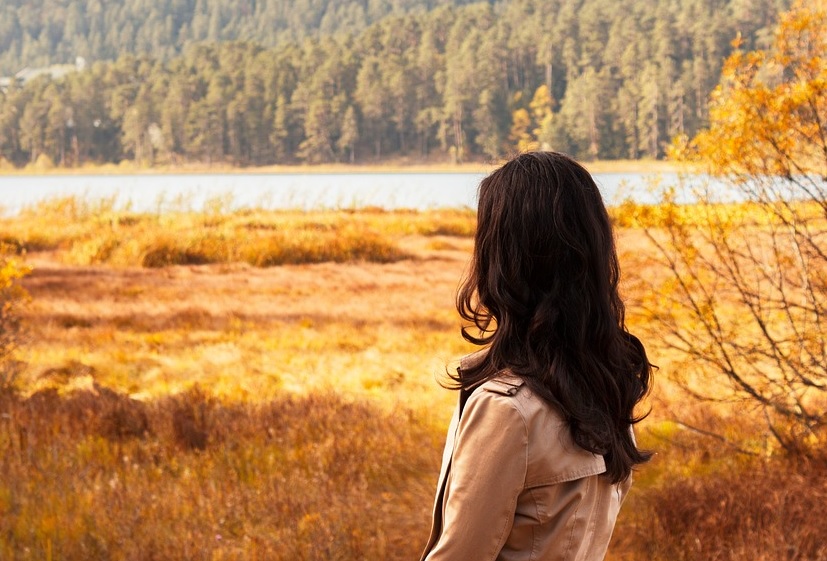 cambridgescaffolding