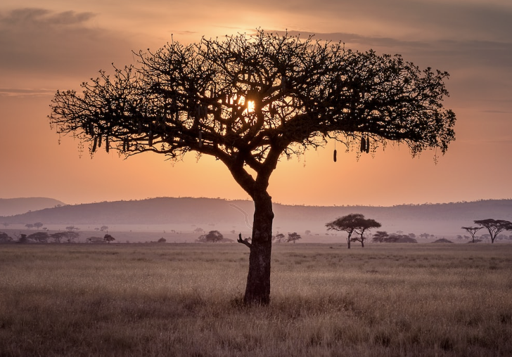 mindbodyevolutionpodcast