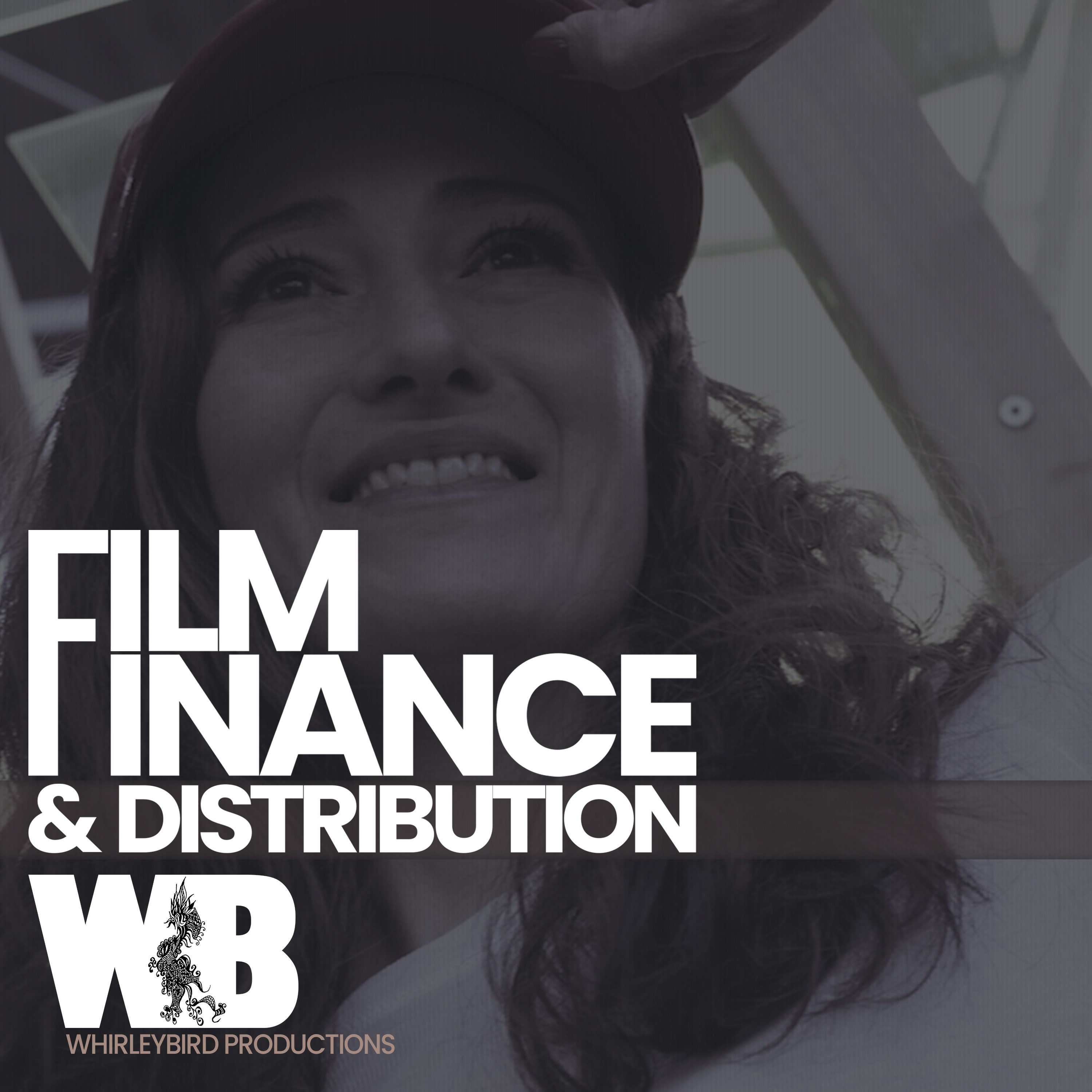 The Film Finance & Distribution Podcast