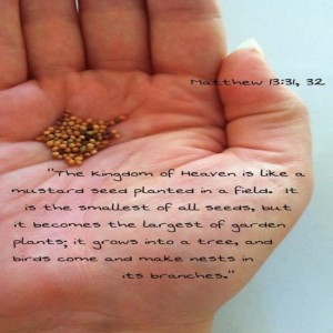 Tiny Seed Prayers