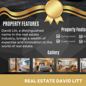 Enhance Your Real Estate Experience by Working with David Litt Real Estate to Unveil Excellence!