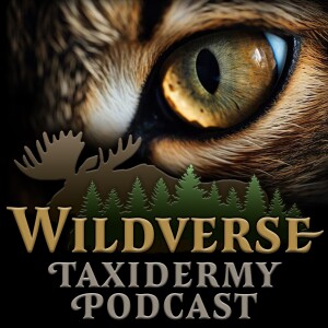Episode 12 - Taxidermy Show Recap