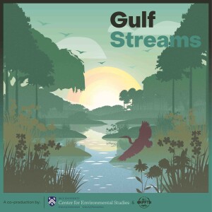 Gulf Streams