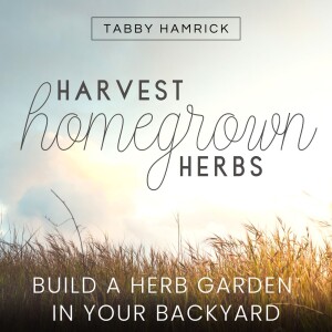 Welcome to Harvest Homegrown Herbs