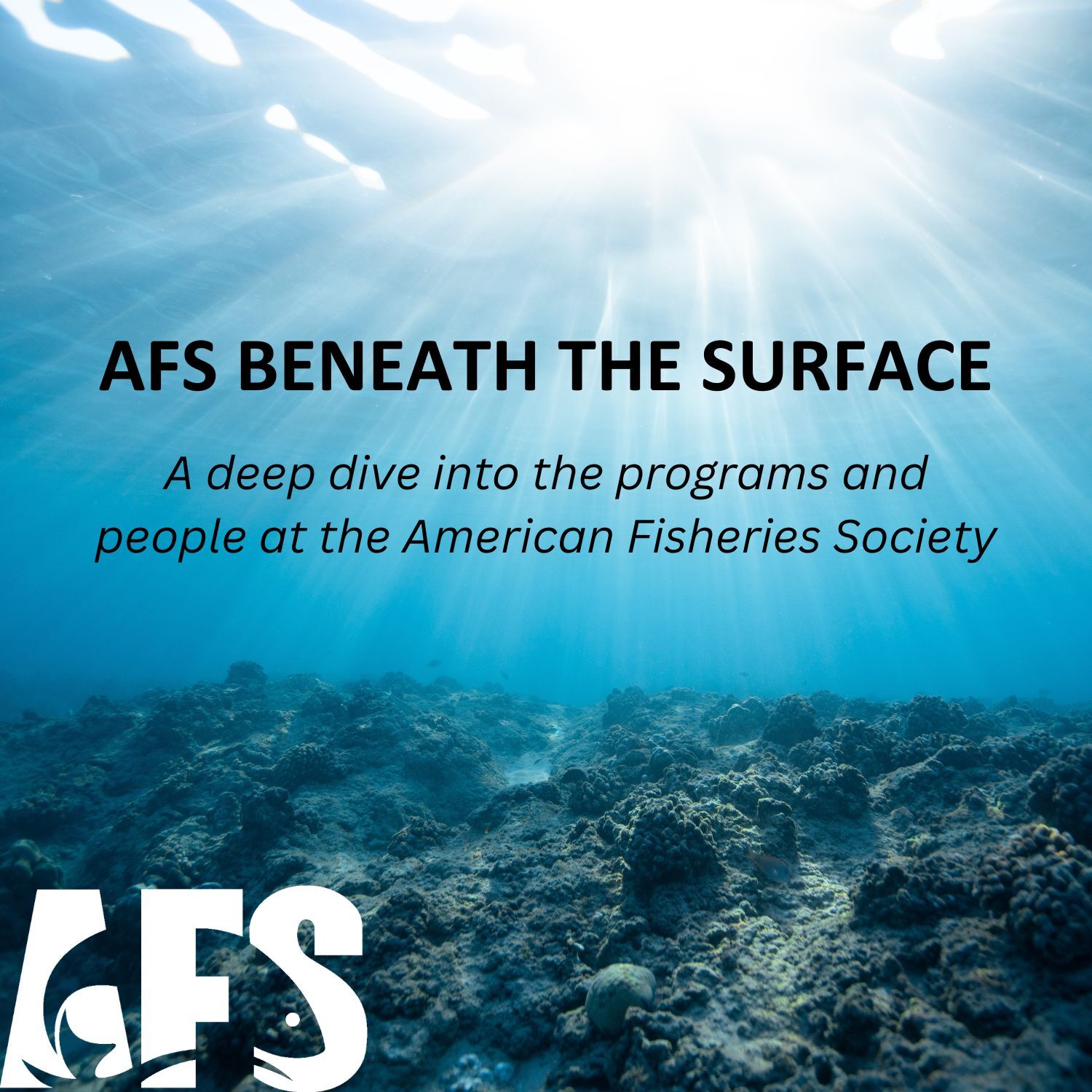 AFS Beneath the Surface
