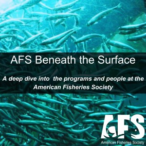 AFS Beneath the Surface