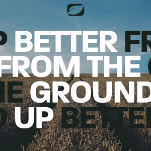 Soybean Management Considerations | Better From The Ground Up S2E9