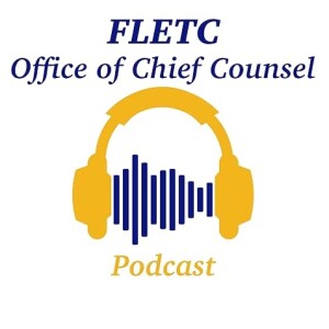 S2E1 - Qualified Immunity