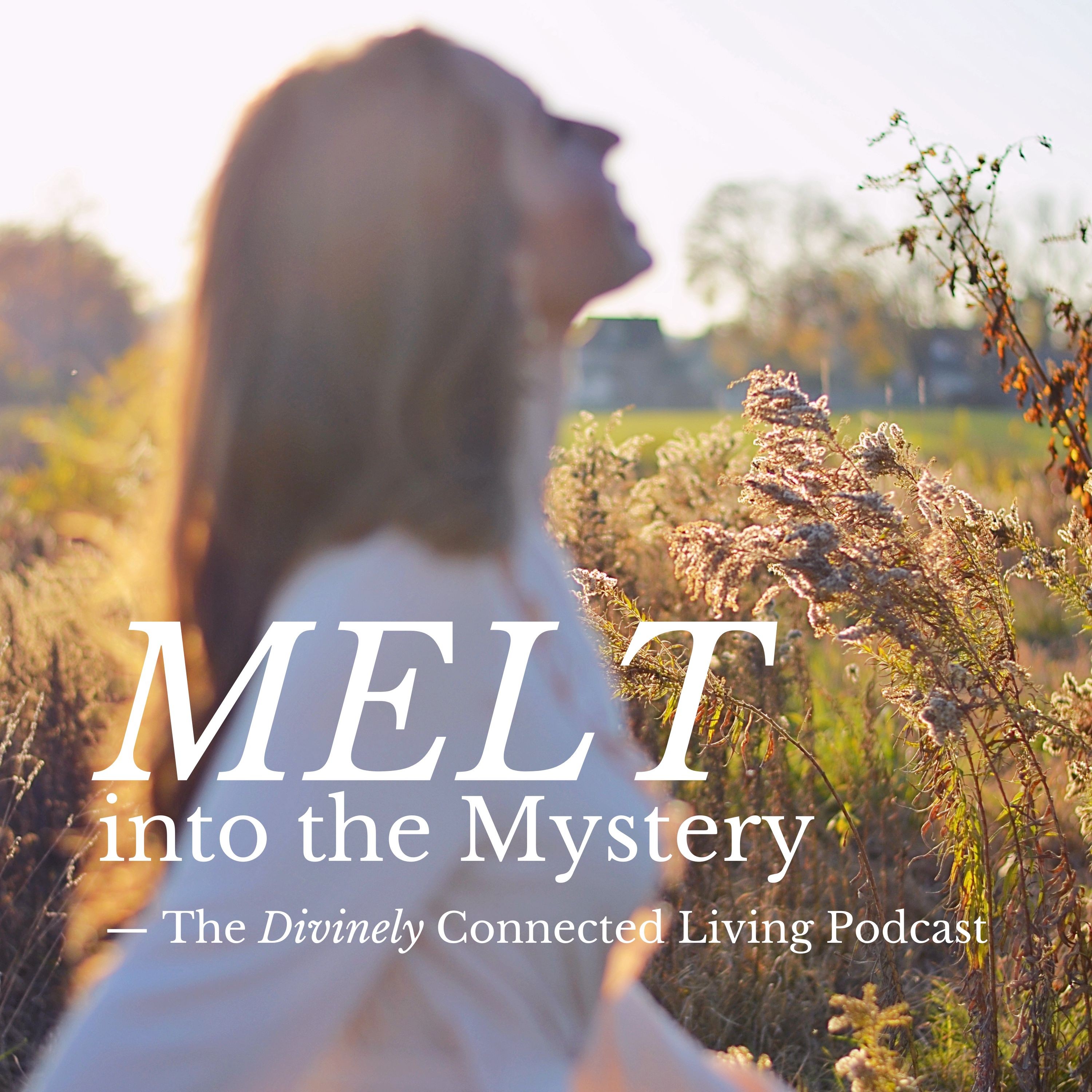 Melt into the Mystery podcast artwork