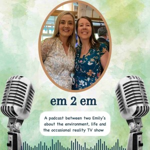 Episode 1 (the real first episode) Meet the two em's