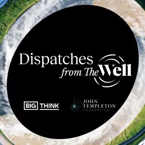 Dispatches from The Well
