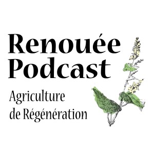 Renouée Podcast - Agriculture de Régénération