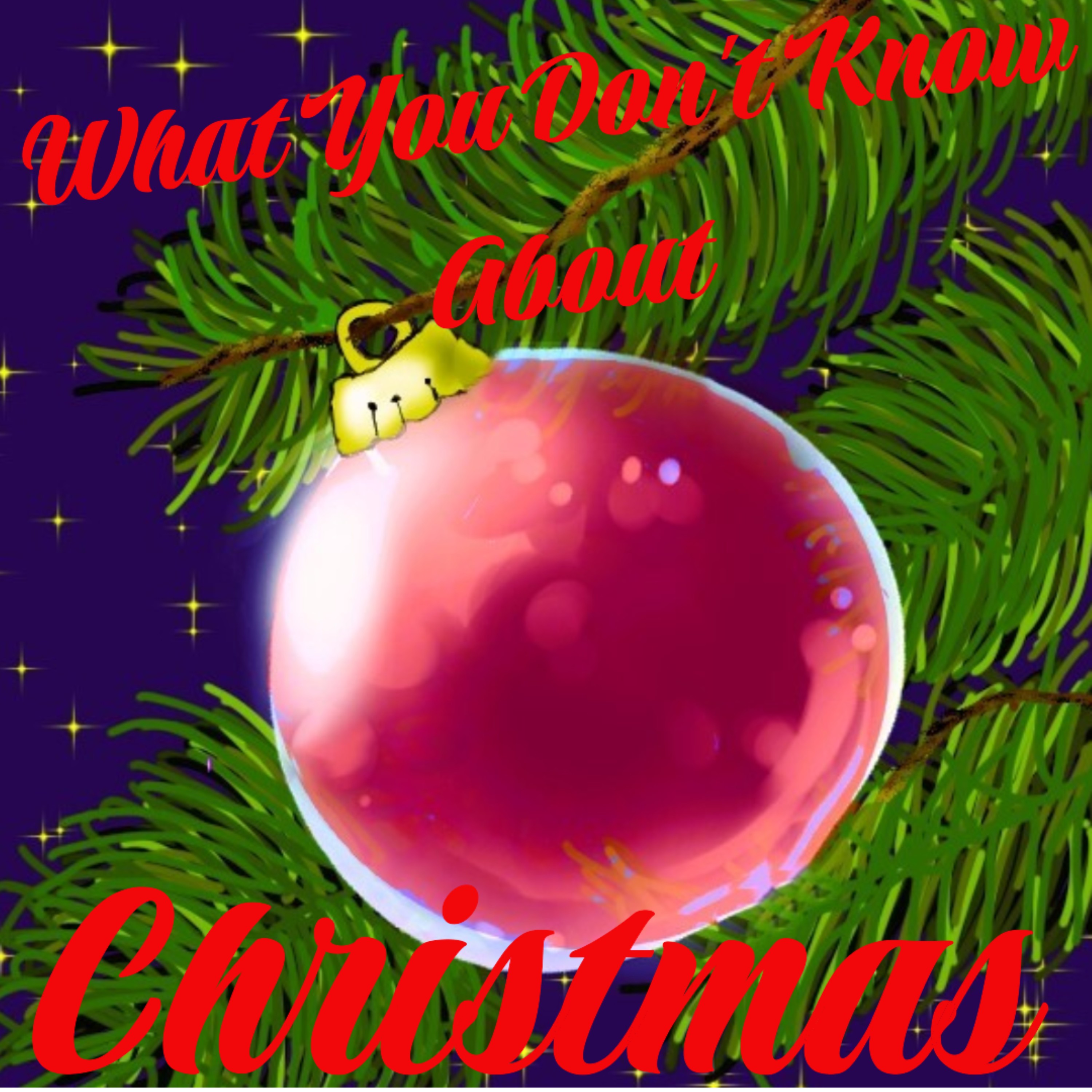 What You Don’t Know About Christmas