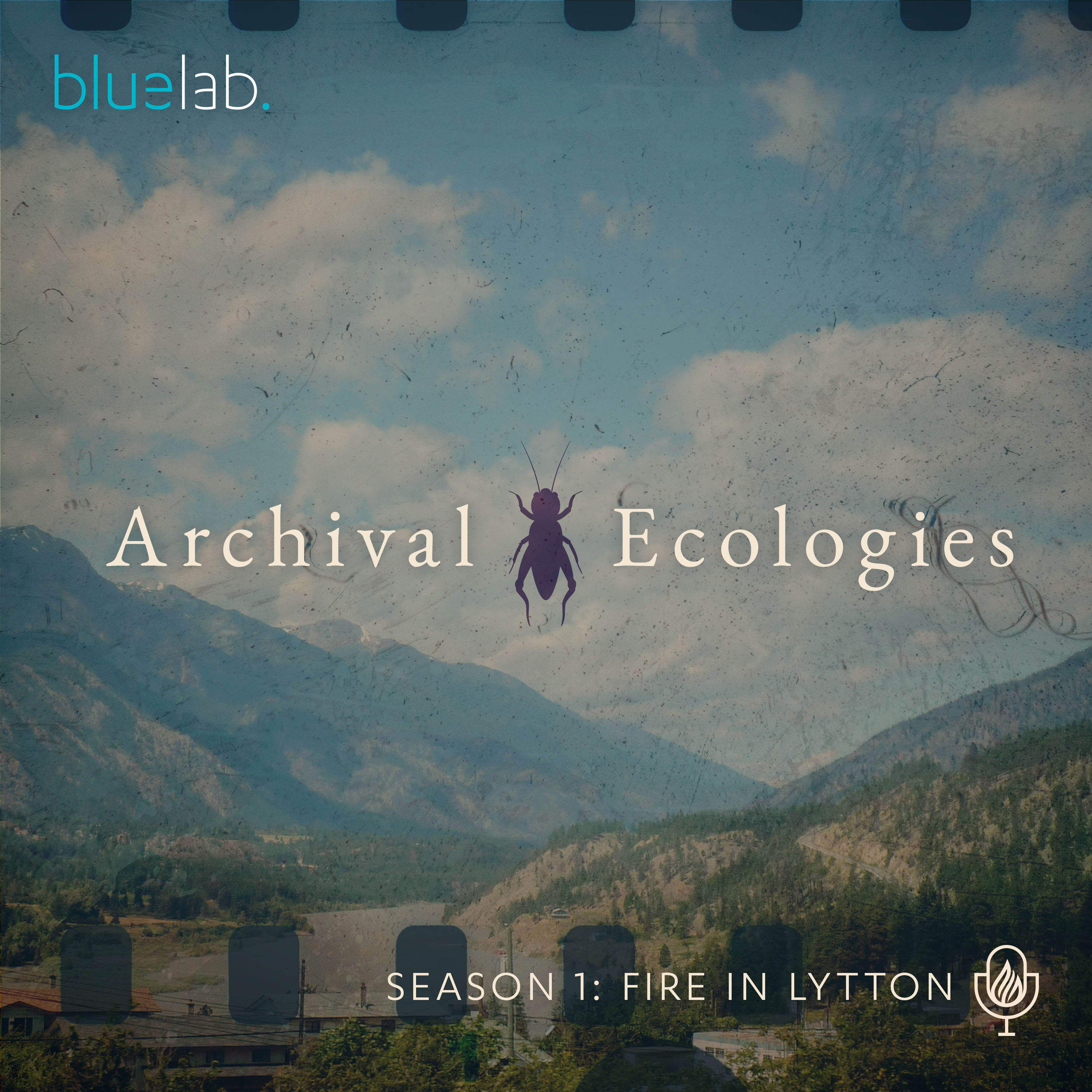 Archival Ecologies