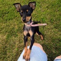 Raija Ahlvik Zellmer