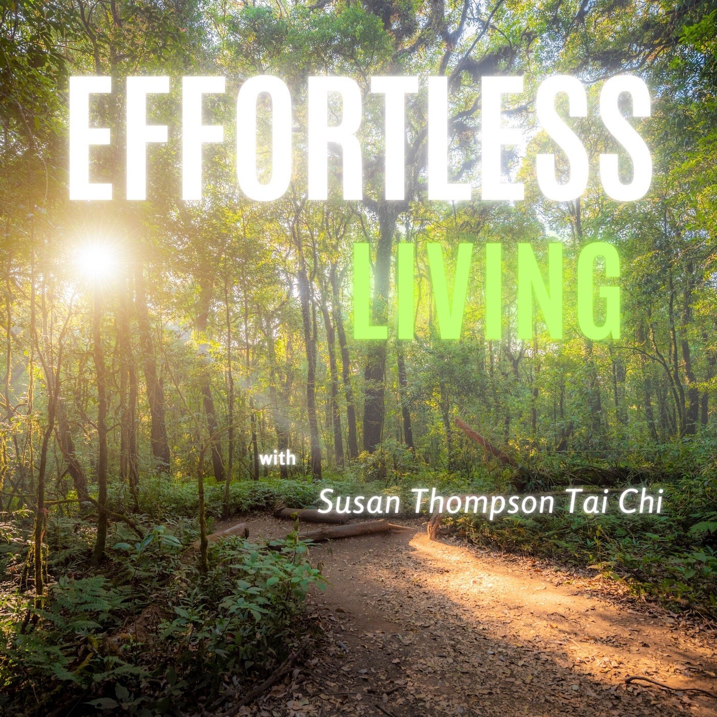 Effortless Living; Living an Easier Life