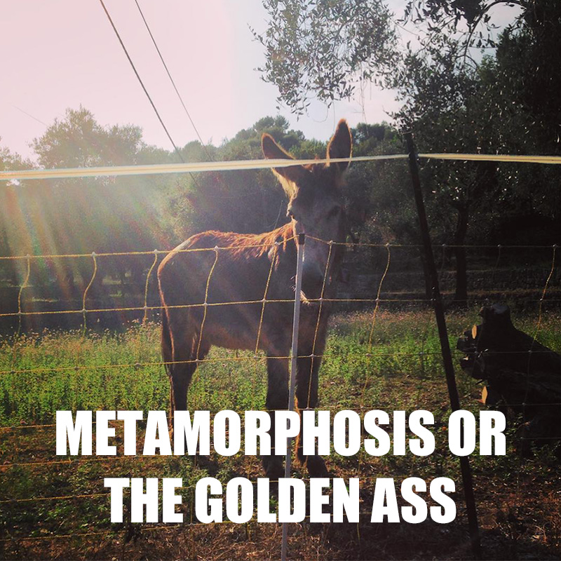 Metamorphosis or The Golden Ass