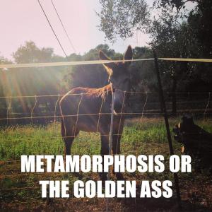 Metamorphosis or The Golden Ass