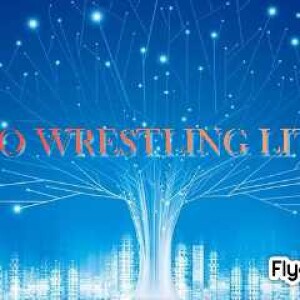 live_PROWRESTLINGLITE_20231206_113501