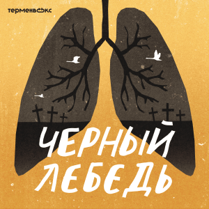 5. Бой с тенью