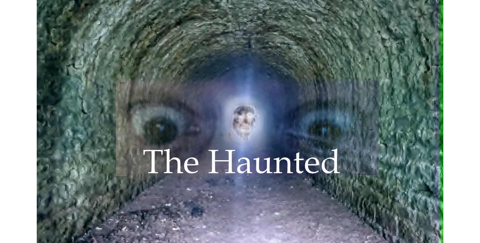 The Haunted - Pilot. Díoladh-Fhiach. cover art