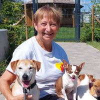 Brigitte D’Haenens